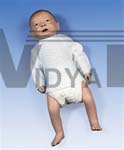 Male Baby Care Model